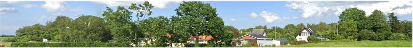 Et billede, der indeholder tekst, tr�, himmel, udend�rs

Automatisk genereret beskrivelse